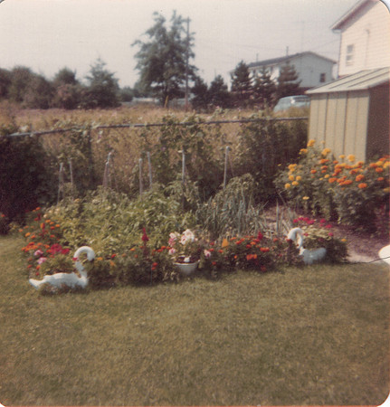 McCullochFamily-105